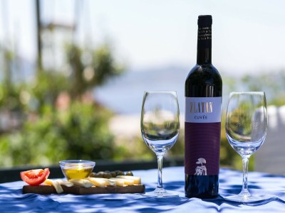 Apartment Apartments Olive - Comfort One Bedroom Apartment with Terrace and Sea View - Popolica 50 - Outdoor photo 18