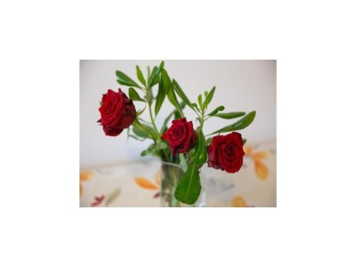 Apartment Apartments Olive - Comfort One Bedroom Apartment with Terrace and Sea View - Popolica 50 - Outdoor photo 21