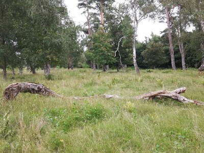 Holiday house 14 person holiday home in Idestrup - Outdoor photo 10