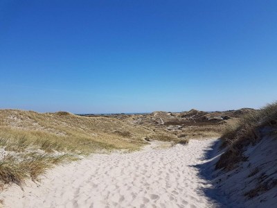 Holiday house 4 person holiday home in Hemmet - Outdoor photo 17