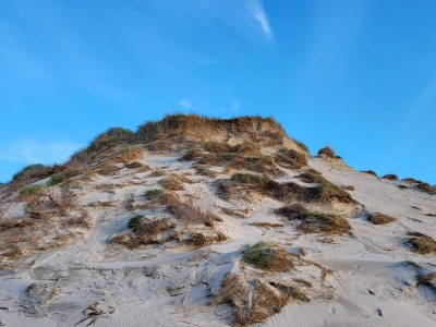 Holiday house 5 person holiday home in Hvide Sande - Outdoor photo 8