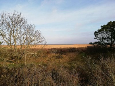 Holiday house 5 person holiday home in Hvide Sande - Outdoor photo 12