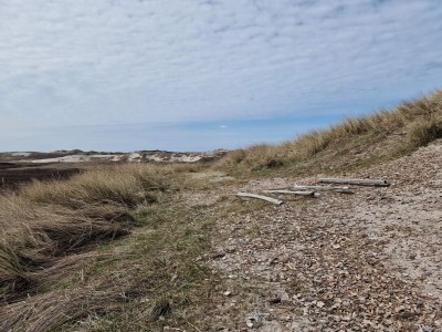 Holiday house 5 person holiday home in Hvide Sande - Outdoor photo 25