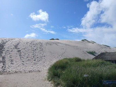 Holiday house 5 person holiday home in Hvide Sande - Outdoor photo 26