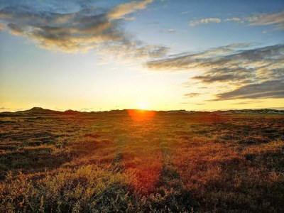 Holiday house 5 person holiday home in Hvide Sande - Outdoor photo 33