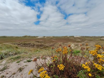Holiday house 5 person holiday home in Hvide Sande - Outdoor photo 34