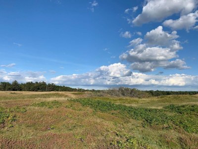 Holiday house 8 Personen Ferienhaus in Tisvildeleje - Outdoor photo 11