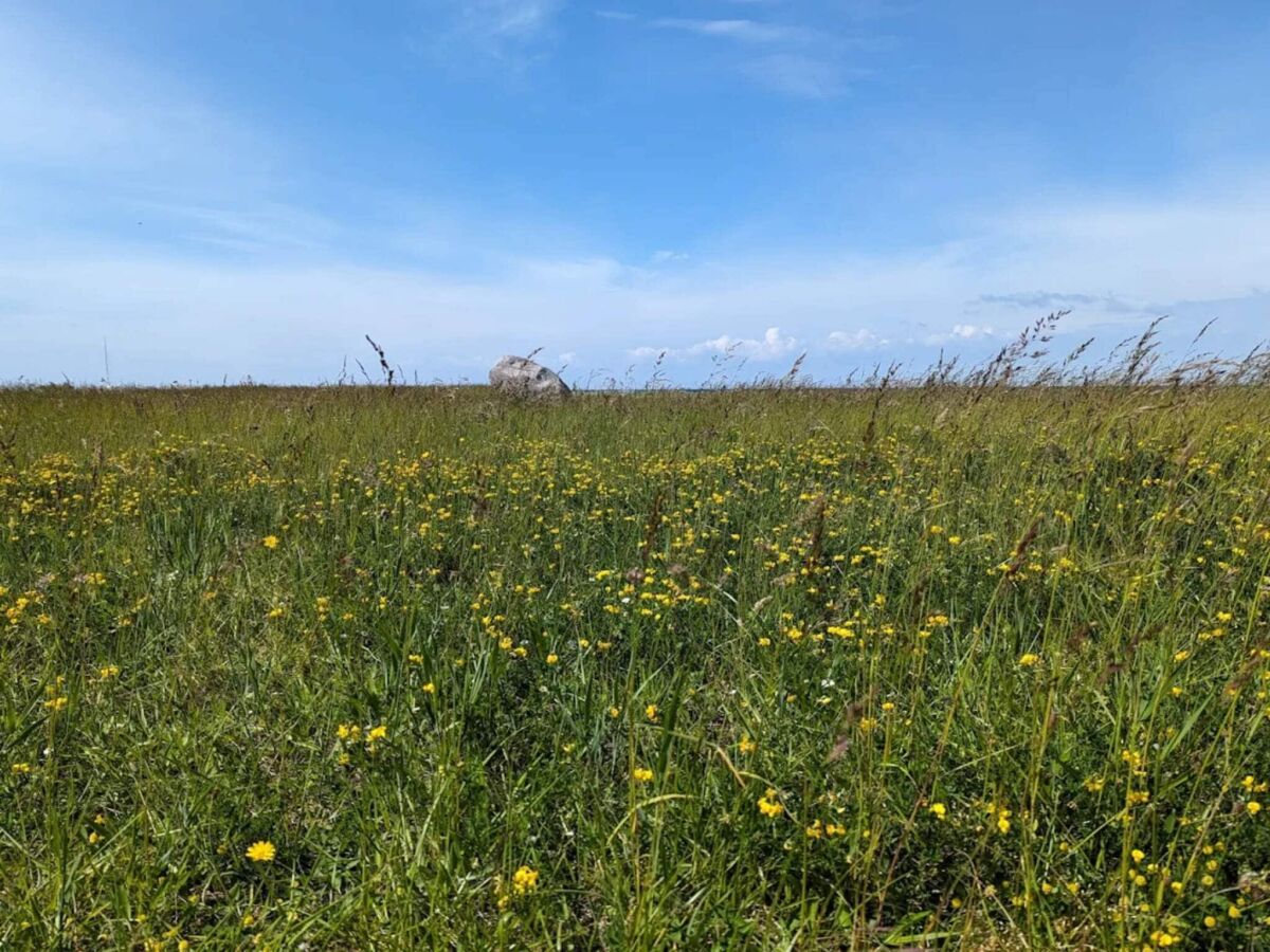 Holiday house 6 Personen Ferienhaus in Gedser - Outdoor photo 2