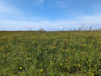 Holiday house 6 Personen Ferienhaus in Gedser - Outdoor photo 2