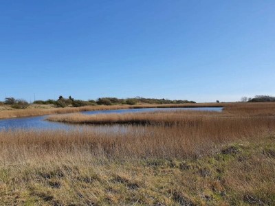 Holiday house 6 Personen Ferienhaus in Gedser - Outdoor photo 24