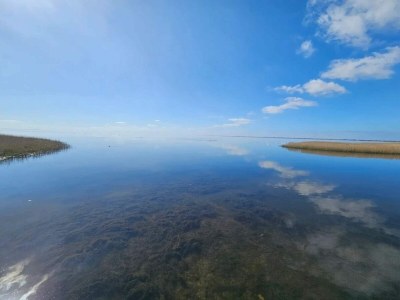 Holiday house 4 person holiday home in Ringkøbing-By Traum - Outdoor photo 38