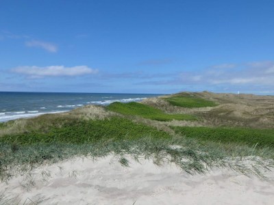 Holiday house 8 person holiday home in Ringkøbing - Outdoor photo 16