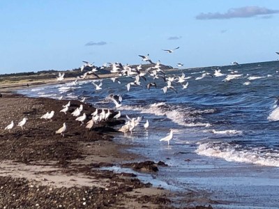Holiday house 14 person holiday home in Løkken - Outdoor photo 44