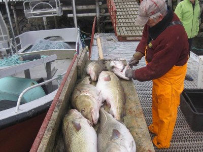 Holiday house 6 person holiday home in Oksvoll - Outdoor photo 12