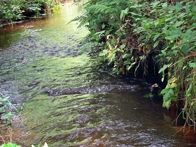 Holiday house 8 Personen Ferienhaus in Ålbæk-By Traum - Outdoor photo 7