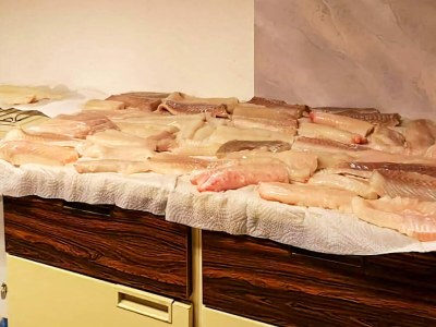 Holiday house 9 person holiday home in KORTGARDEN - Outdoor photo 10