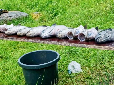 Holiday house 9 person holiday home in KORTGARDEN - Outdoor photo 20