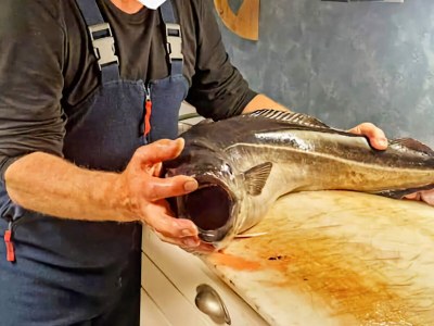 Holiday house 9 person holiday home in KORTGARDEN - Outdoor photo 21