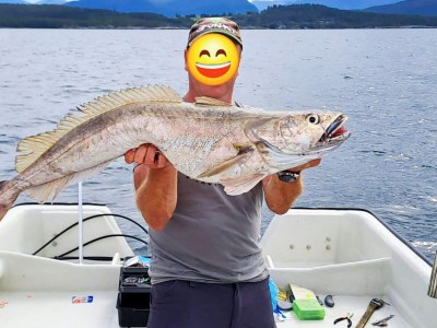 Holiday house 9 person holiday home in KORTGARDEN - Outdoor photo 27