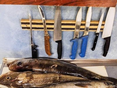 Holiday house 9 person holiday home in KORTGARDEN - Outdoor photo 35