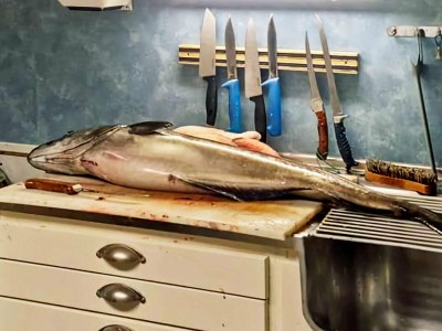 Holiday house 9 person holiday home in KORTGARDEN - Outdoor photo 49