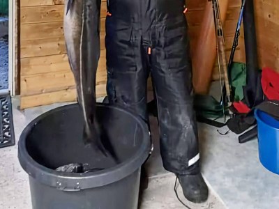 Holiday house 9 person holiday home in KORTGARDEN - Outdoor photo 51