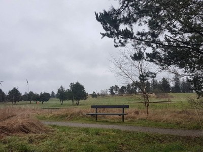 Holiday house 6 Personen Ferienhaus in Fjerritslev - Outdoor photo 9