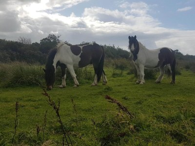 Holiday house 6 Personen Ferienhaus in Fjerritslev - Outdoor photo 14
