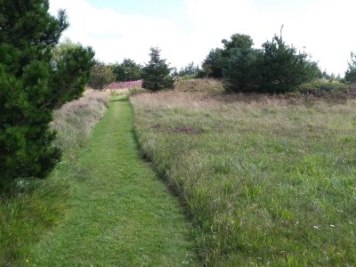 Holiday house 6 Personen Ferienhaus in Fjerritslev - Outdoor photo 15