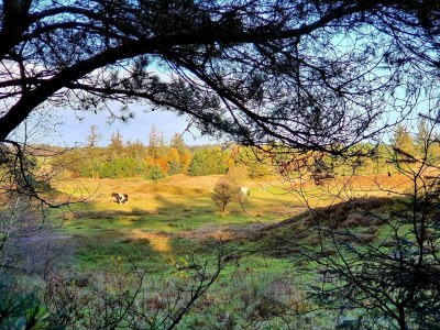 Holiday house 6 Personen Ferienhaus in Fjerritslev - Outdoor photo 29