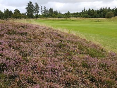 Holiday house 6 Personen Ferienhaus in Fjerritslev - Outdoor photo 37