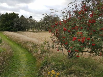 Holiday house 6 Personen Ferienhaus in Fjerritslev - Outdoor photo 39