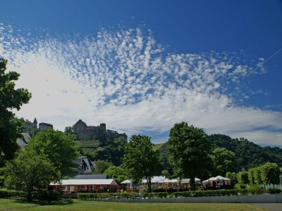 Holiday apartment Yellowstone - Environment photo 31