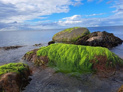 Holiday house 5 person holiday home in Otterup - Outdoor photo 38