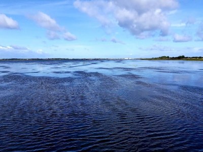 Apartment 4 Personen Ferienhaus in Ringkøbing-By Traum - Outdoor photo 38