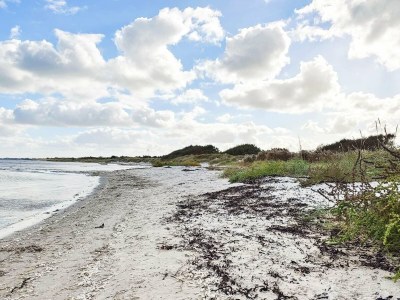 Apartment 6 Personen Ferienhaus in Hadsund - Outdoor photo 8