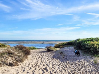Apartment 6 Personen Ferienhaus in Hadsund - Outdoor photo 27