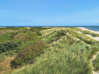 Holiday house 6 person holiday home in Skagen - Outdoor photo 12