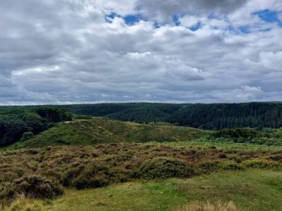 Holiday house 6 person holiday home in Skagen - Outdoor photo 20