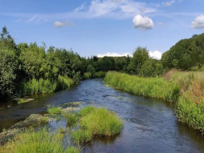 Holiday house 5 Personen Ferienhaus in Ansager-By Traum - Outdoor photo 17