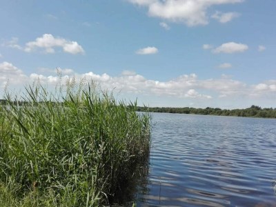 Holiday house 5 Personen Ferienhaus in Ansager-By Traum - Outdoor photo 22