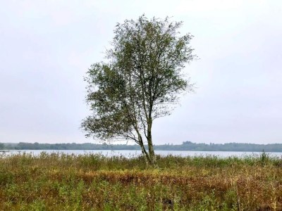 Holiday house 5 Personen Ferienhaus in Ansager-By Traum - Outdoor photo 36