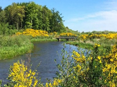 Holiday house 5 Personen Ferienhaus in Ansager-By Traum - Outdoor photo 37