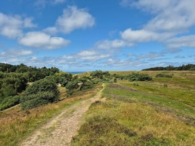 Holiday house 6 person holiday home - Outdoor photo 10