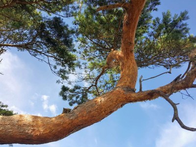 Holiday house 6 person holiday home - Outdoor photo 11