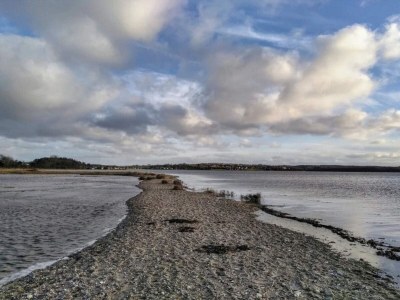 Holiday house 4 person holiday home in Rønde-By Traum - Outdoor photo 6