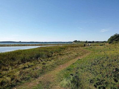 Holiday house 4 person holiday home in Rønde-By Traum - Outdoor photo 7