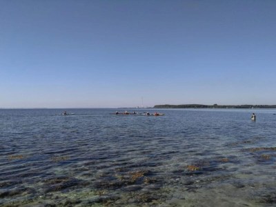 Holiday house 4 person holiday home in Rønde-By Traum - Outdoor photo 9