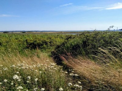 Holiday house 4 person holiday home in Rønde-By Traum - Outdoor photo 24