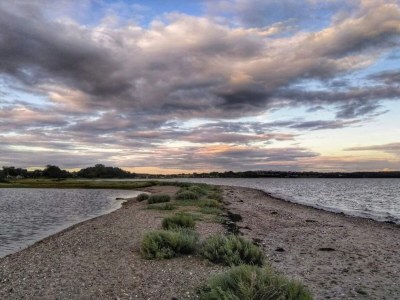 Holiday house 4 person holiday home in Rønde-By Traum - Outdoor photo 27